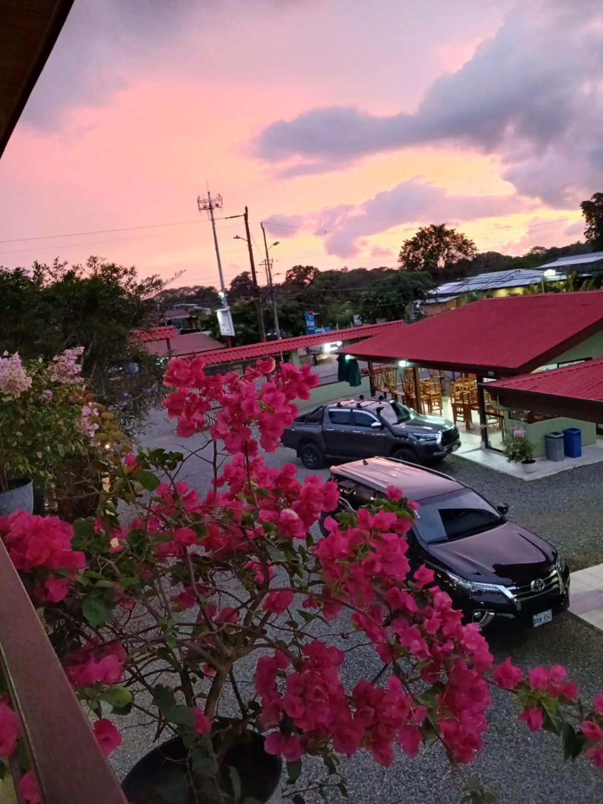 Hotel La Fiore De Bahia Uvita Dış mekan fotoğraf